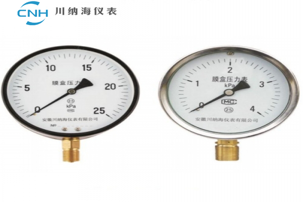 CNH-YE系列膜盒壓力表